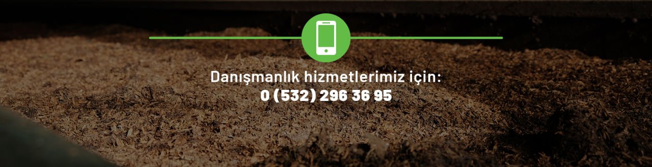 Danışmanlık Hizmeti