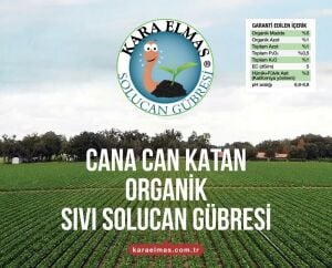 Sıvı Solucan Gübresi- 1 Litre
