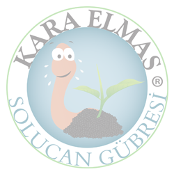 Mikrobiyal sıvı solucan gübresi (Ev Yapımı) - 1 Litre